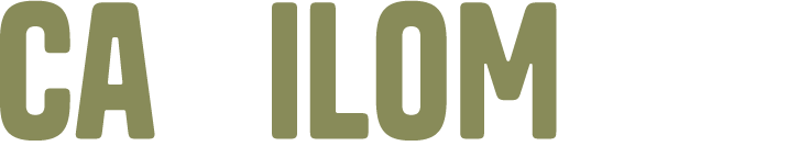 Camilo Mora Arquitectos